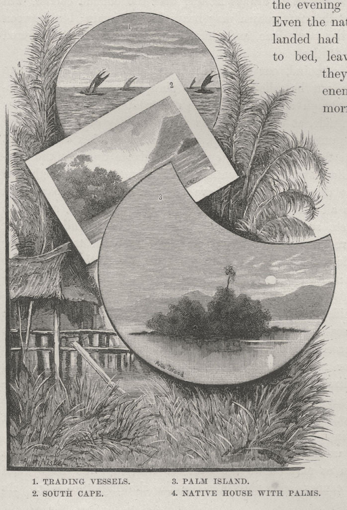 Trading Vessels. South Cape. Palm Island. Native house Palms. New Guinea 1890